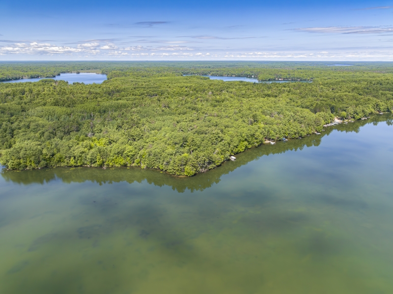 Horsehead Lake Cabins